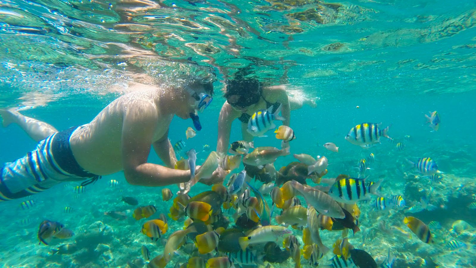 Snorkeling Gili Island