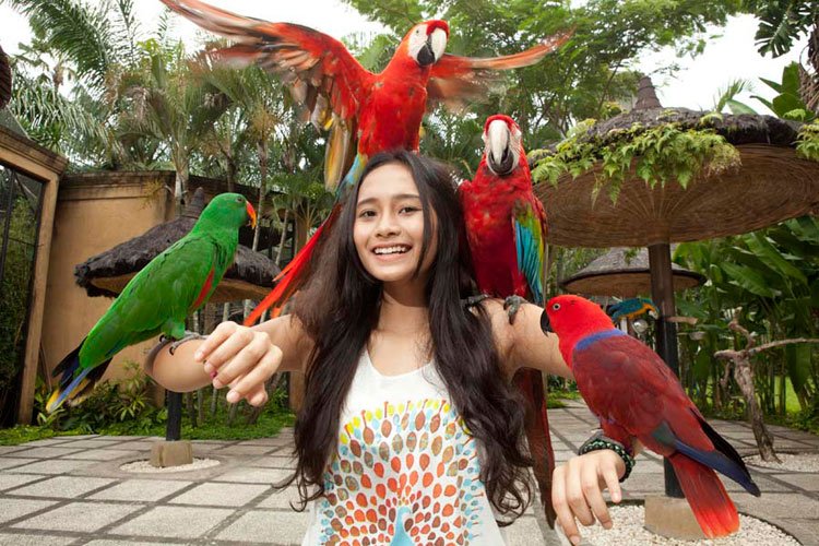 Bali Bird Park